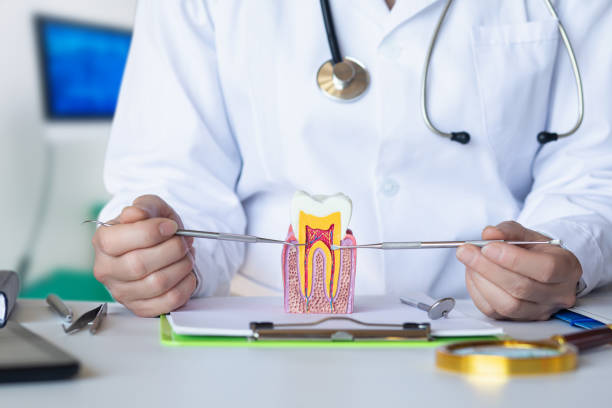 Best Emergency Denture Repair in Ledgewood, NJ
